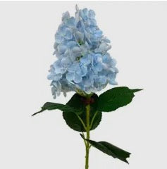 Fresh Touch Cone Hydrangea Stem