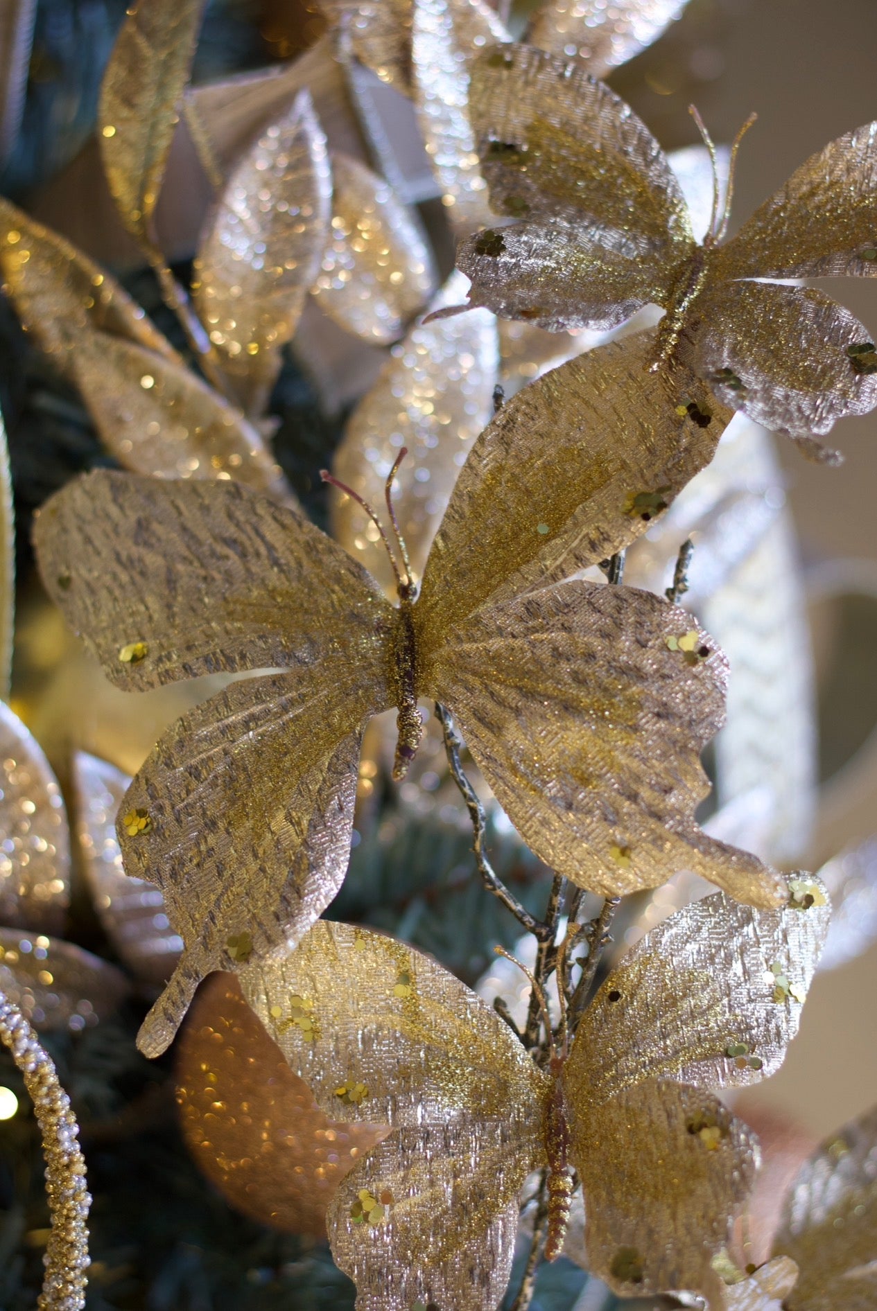 Give Me Butterflies Sprsy